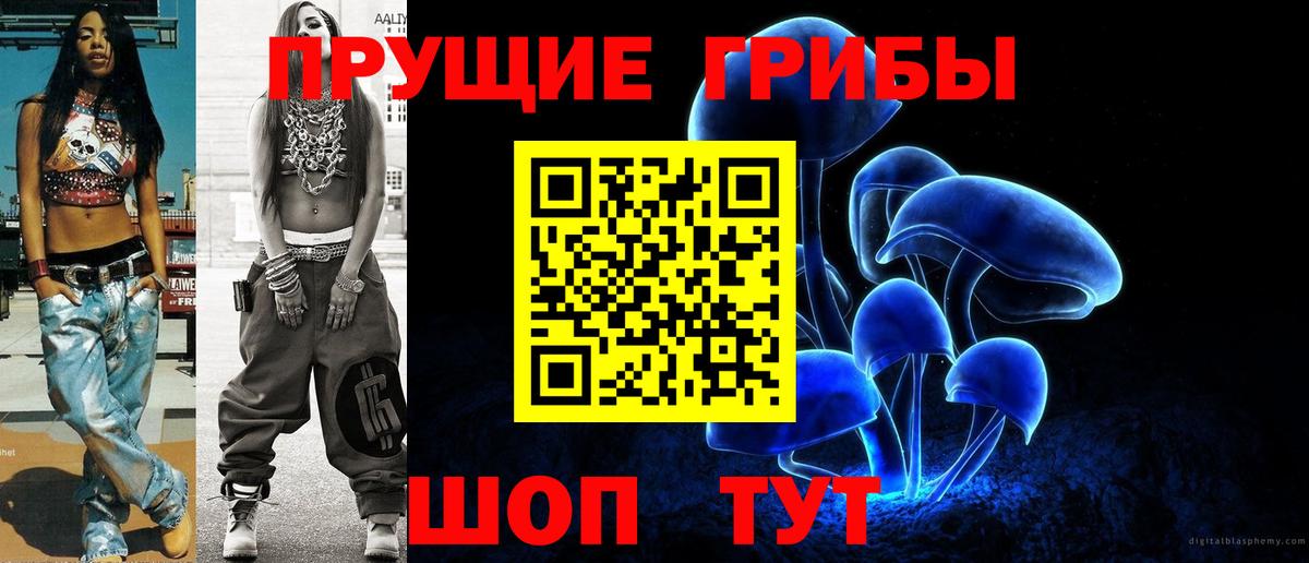 Галлюциногенные грибы Psilocybine cubensis  Вход с VPN  наркота  Псилоцибиновые грибы MAGIC MUSHROOMS  Мичуринск 